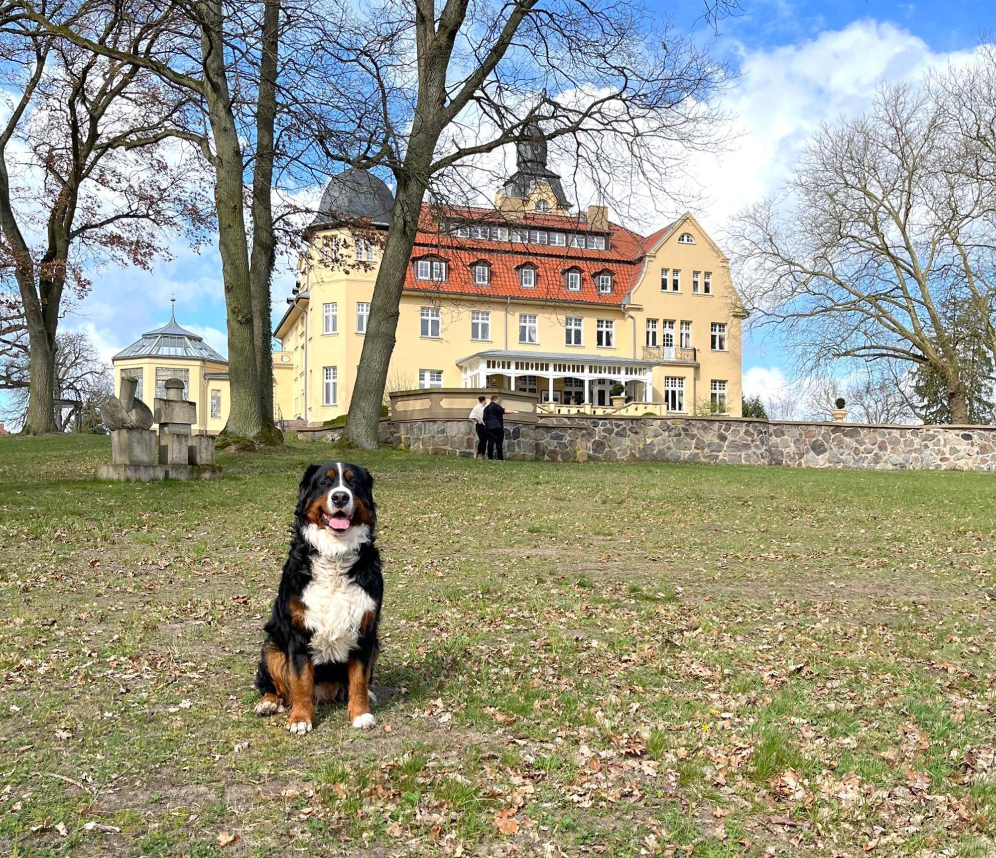 Bernsteinschloss Wendorf  ภายนอก รูปภาพ